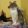 Отзыв от Клавдия Белова